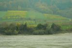 PICTURES/Wachau Valley - Cruising Along The Danube/t_P1170770.JPG